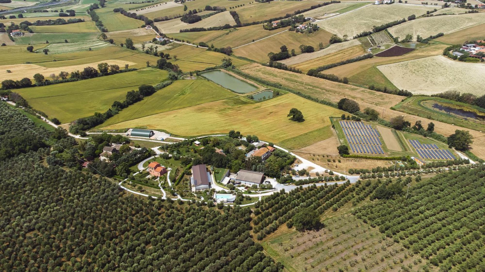 A3Passi Villa Ancona Exterior photo