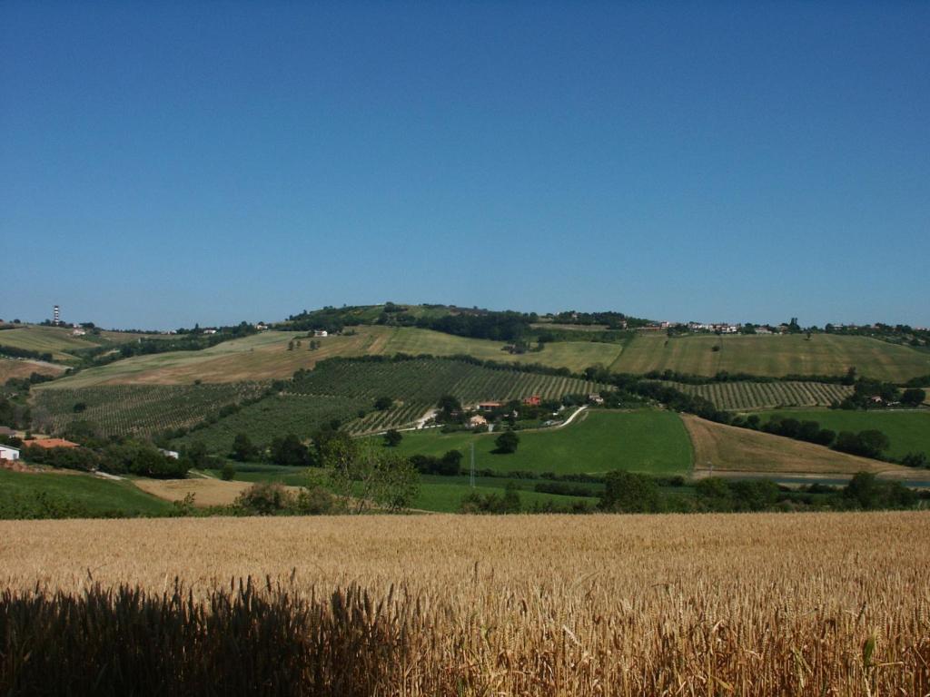 A3Passi Villa Ancona Exterior photo